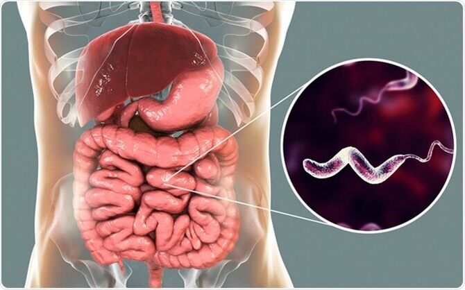 Os parasitas liberam toxinas no corpo, e o medicamento Vermixin irá ajudá-lo a se livrar deles! 